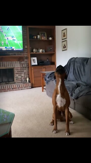 We had some head tilts, but way more arrrooos