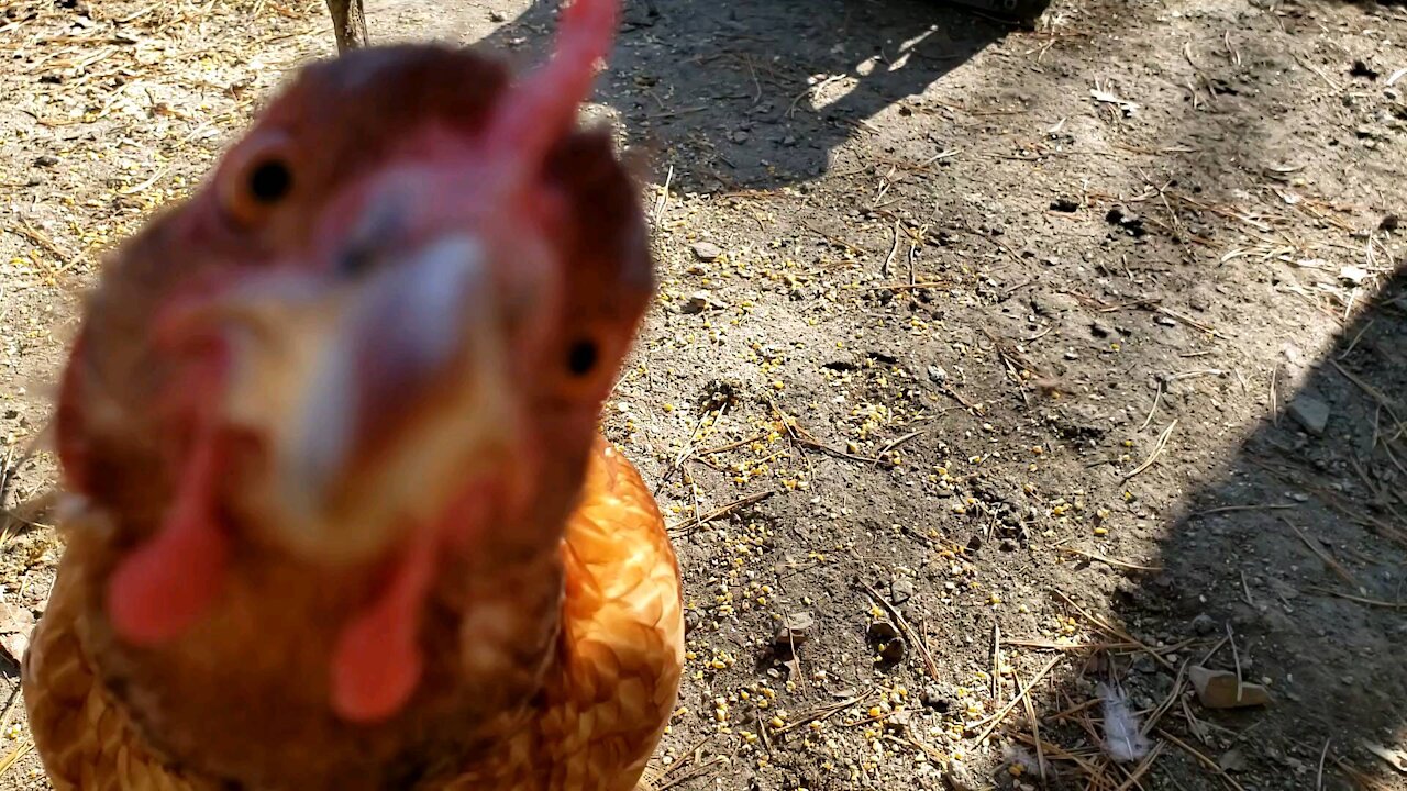 I'm ready for my closeup.