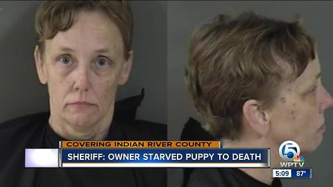 Sheriff: Dog starved to death by owner in Vero Beach