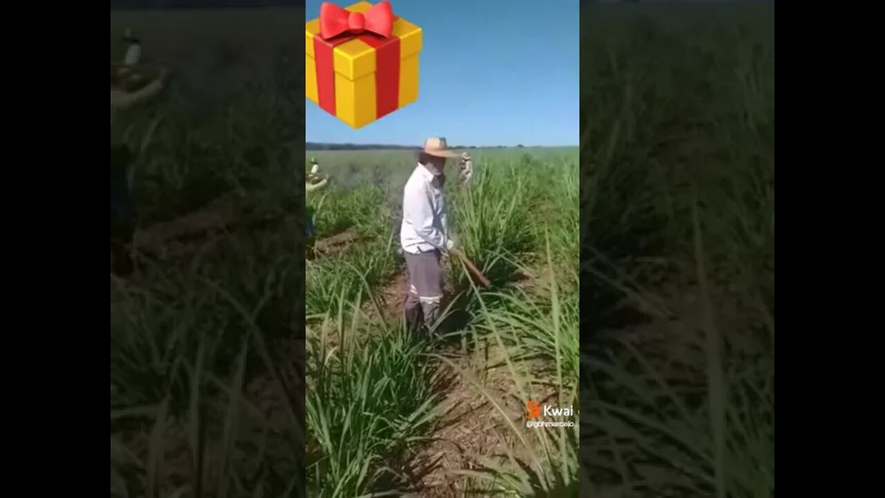 ei voce vem cuidar de mim #shorts