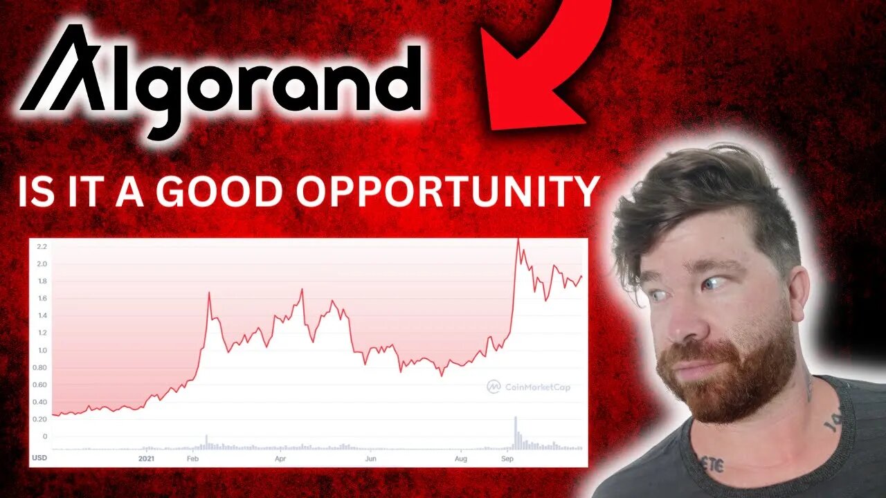 Algorand, Quickest Way To 10X Investment Next Bull Run???