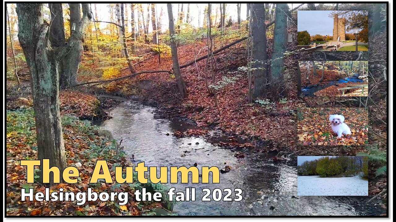 The amazing colors of autumn | Helsingborg | Sweden