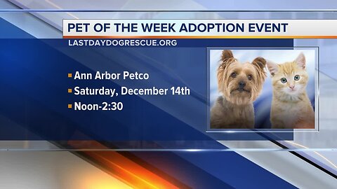 Pets of the Week - Frida and Hans