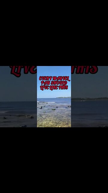 Every Marvel Fan Should Live Like This :)