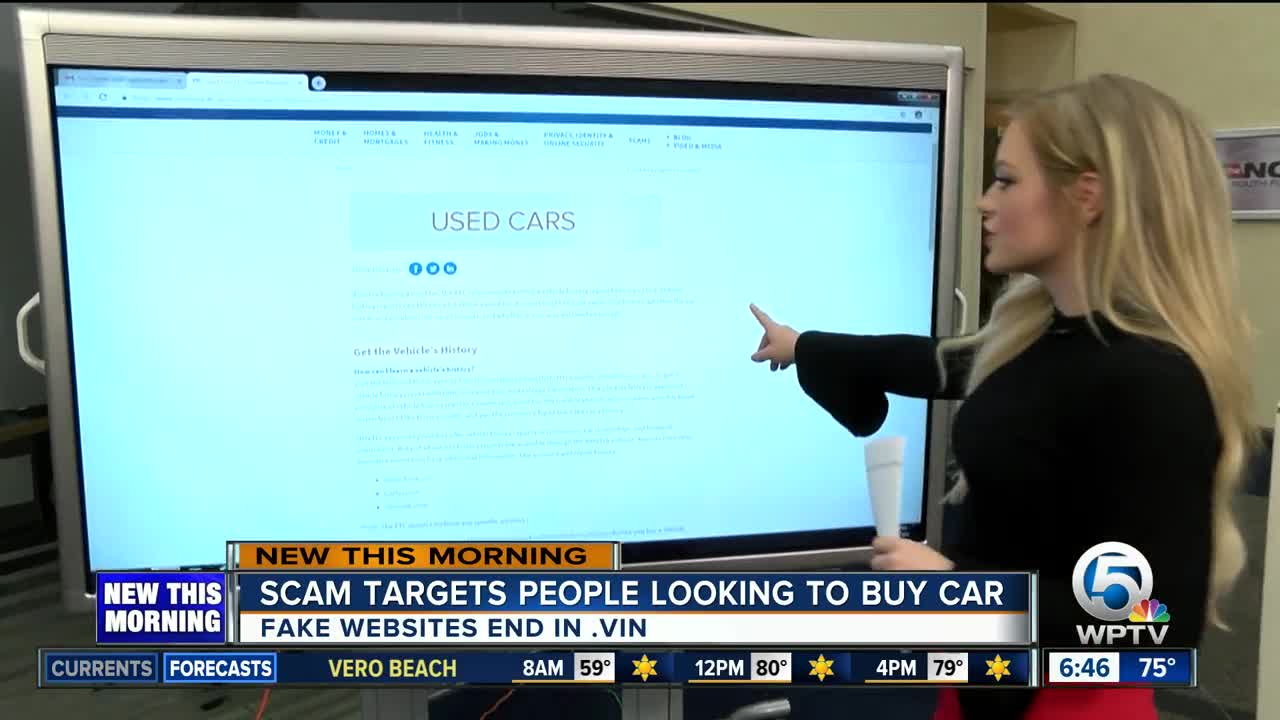 SCAM ALERT: Fake 'car history report' website stealing credit card information, according to the FTV