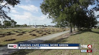 Making Cape Coral more green