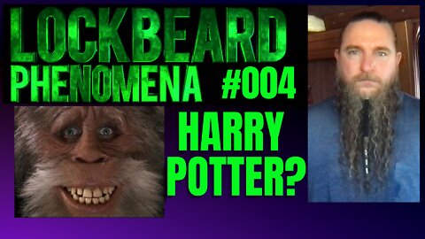 LOCKBEARD PHENOMENA #004. Harry Potter?