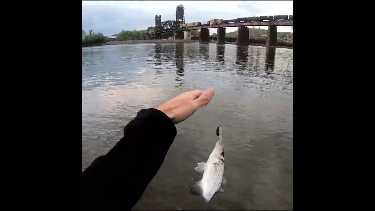 roostertail fishing