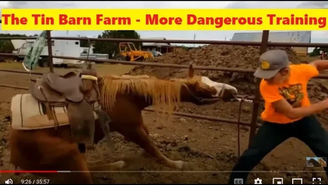 Hook The Wild Horse - Is He Being Desensitized or Traumatized? How To Make A Dangerous Horse