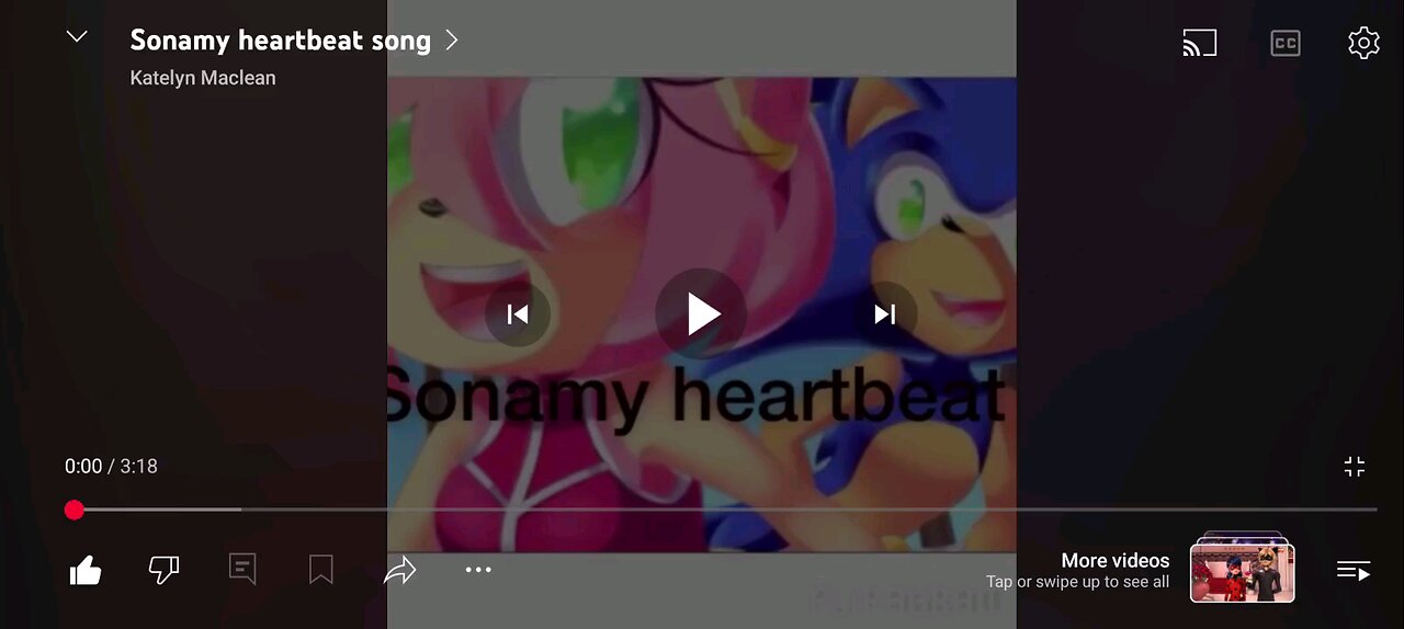 This is our heartbeat song our love SonAmy ❤️