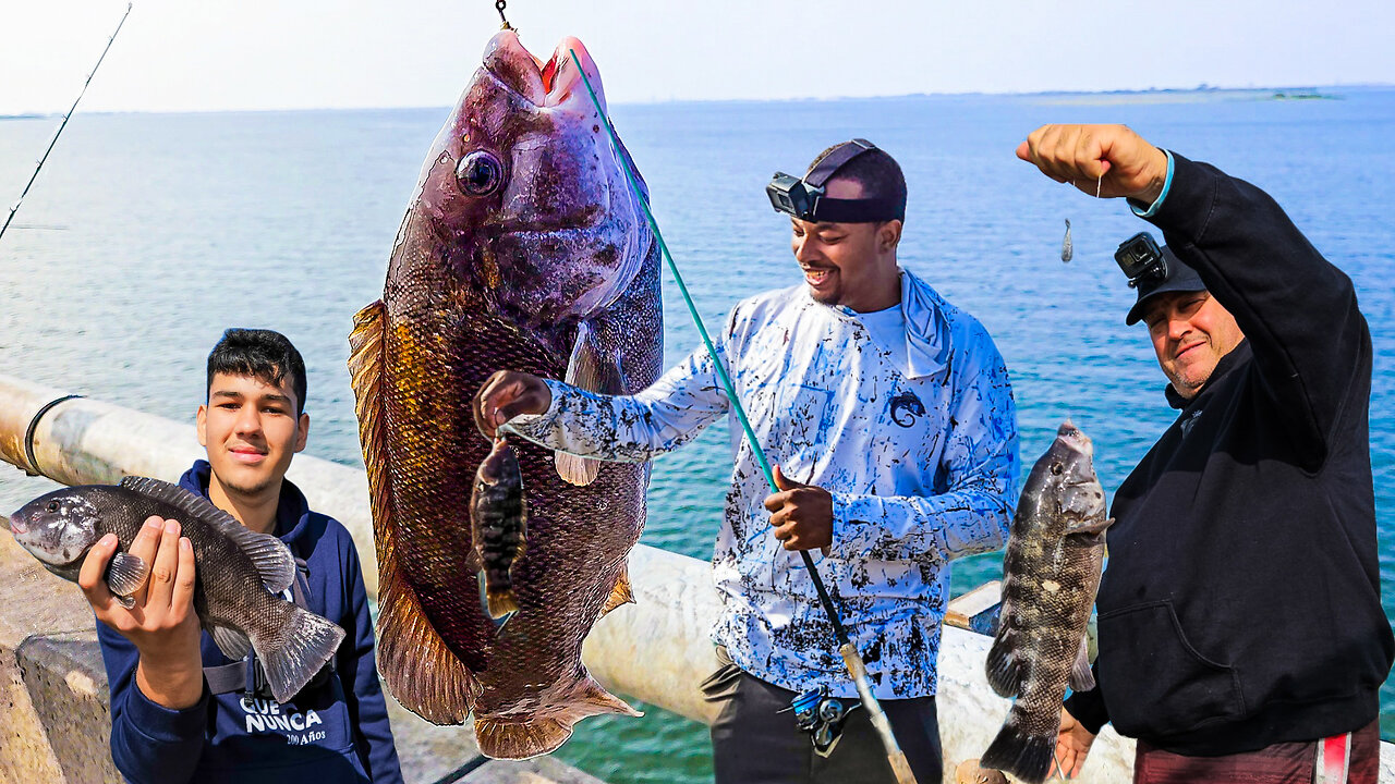 Double Tautog Off The Bridge