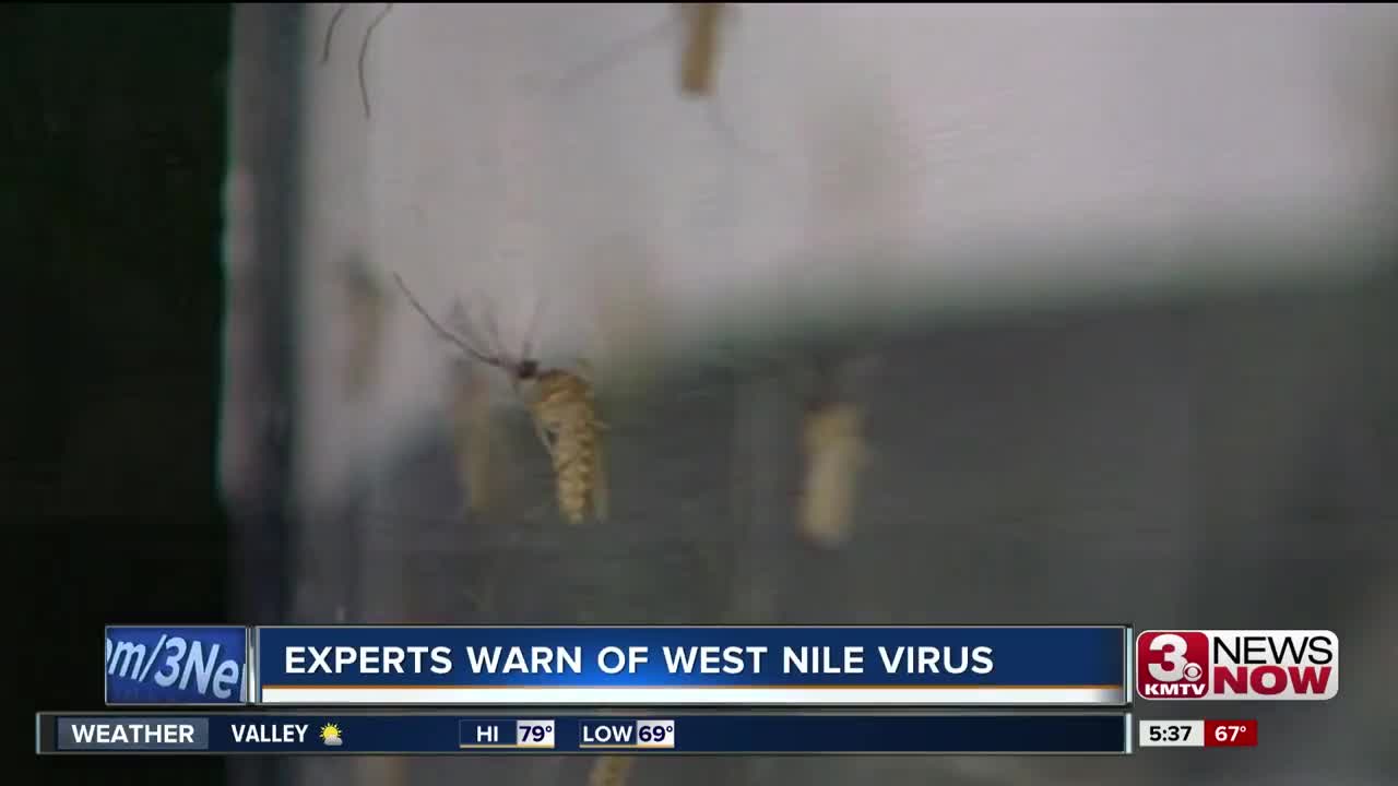 West Nile Virus Prevention