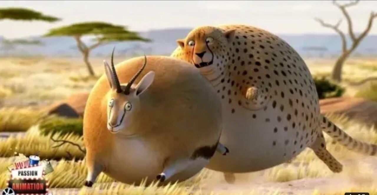 Funny FAT Animals - Animated Short Films by Rollin' Wild | Animal Cartoon