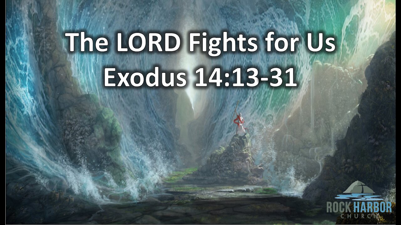 The Lord Fights for Us - Exodus 14:13-31