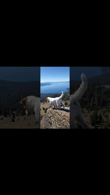 Ares peeks on Rifle peak