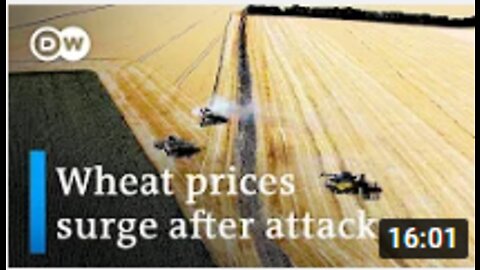 Ukraine tries to get grain out despite attack: What's at stake | DW News