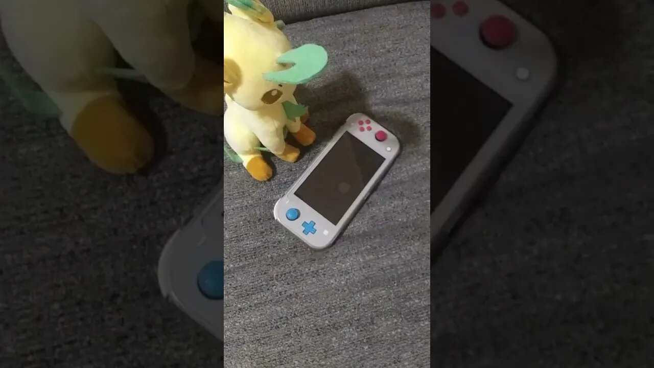 An Eevee's Video Game Collection