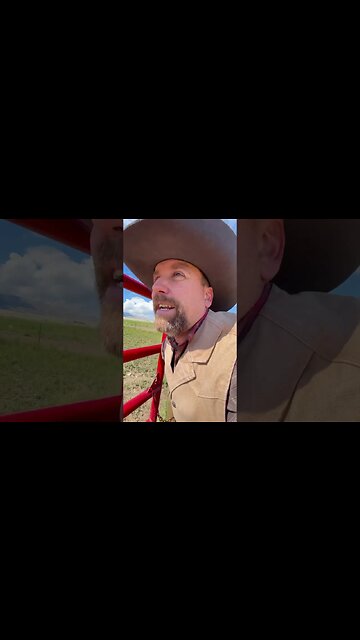 Don’t Use Treats to Catch your Horse