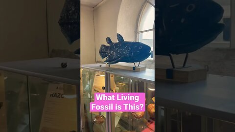 What is this Living Fossil…? #fossil #viral #underthesea #fish #livingfossil
