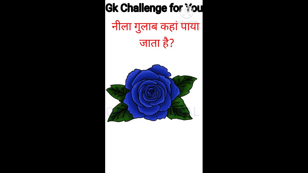 GK Questions Answers|| GK in Hindi|| GK Questions|| GK With Vishal|| General knowledge