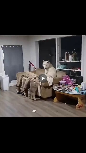 Every mother needs rest, she disciplines them. Kids are kids.