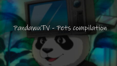 Cuties Animals Compilation / PandawuTV #006