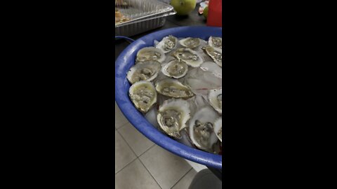 Fresh Oysters on deck already open and ready to go, best oysters to eat