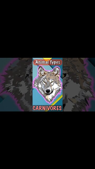 Wolf Apex Carnivores Animals | Top Predators | Full Video #shorts #wolf