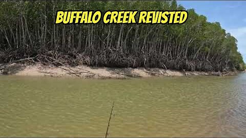 Buffalo Creek Revisited.