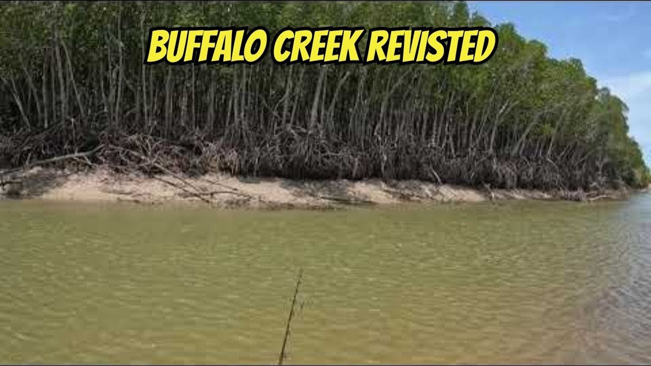 Buffalo Creek Revisited.