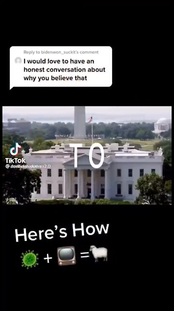 Virus + TV = Sheep and stolen elections