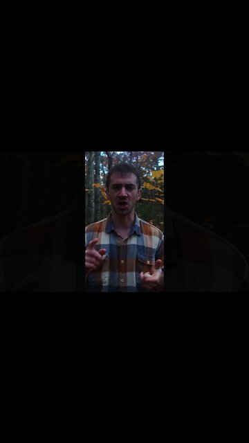 Mycelium is Nature's Internet.