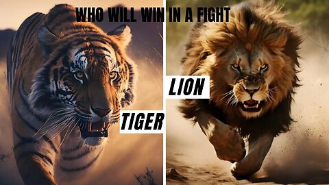 Tiger vs Lion | who will win in a fight?