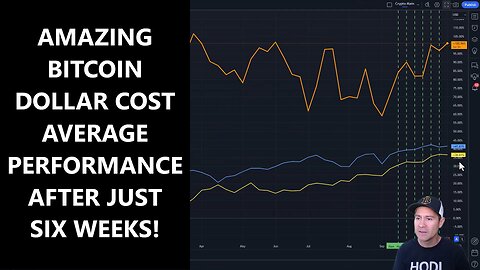 Amazing Bitcoin Dollar Cost Average (DCA) performance after just six weeks