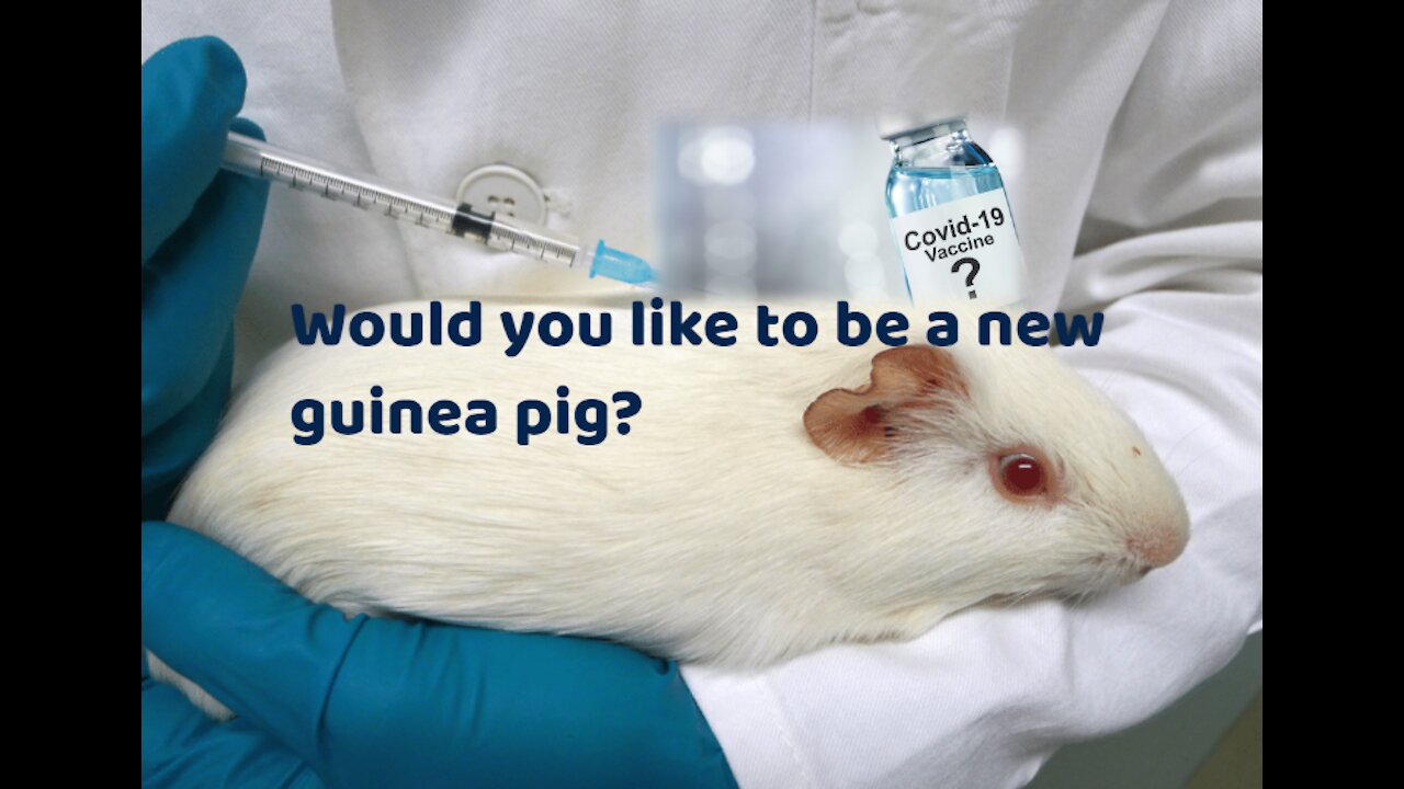 Would you like to be a new guinea pig?