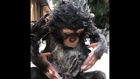 Iam bathing ( monkey)