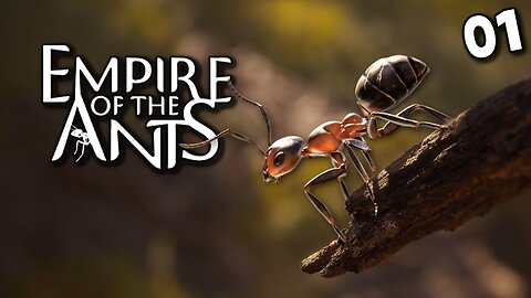 Living the Ant's Life In My New Empire!