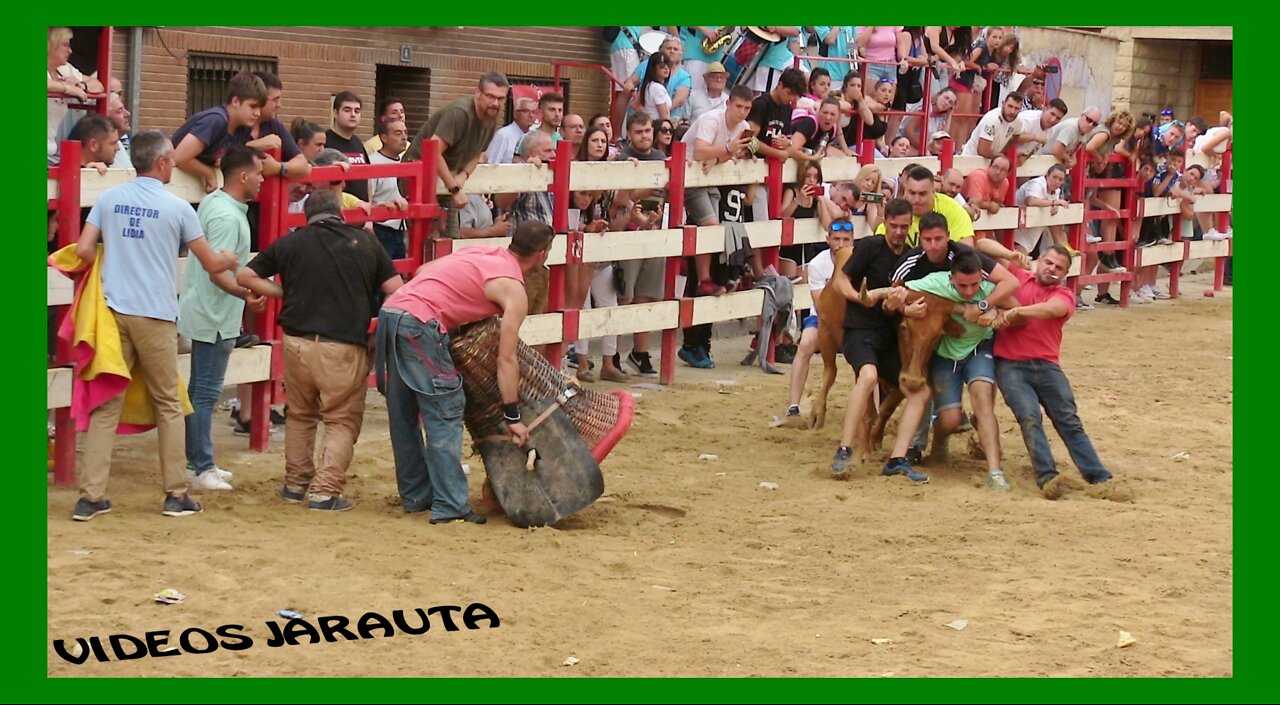 REMOLINOS ( ZARAGOZA ) TARDE VACAS PLAZA ( DOMINGO 12 JUNIO 2022 ) HNOS.OZCOZ