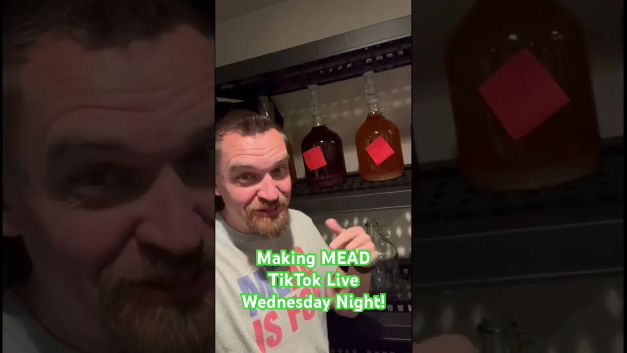 Making MEAD TikTok Live Wednesday Night! #mead #honeywine #tiktok