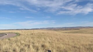 Little Bighorn