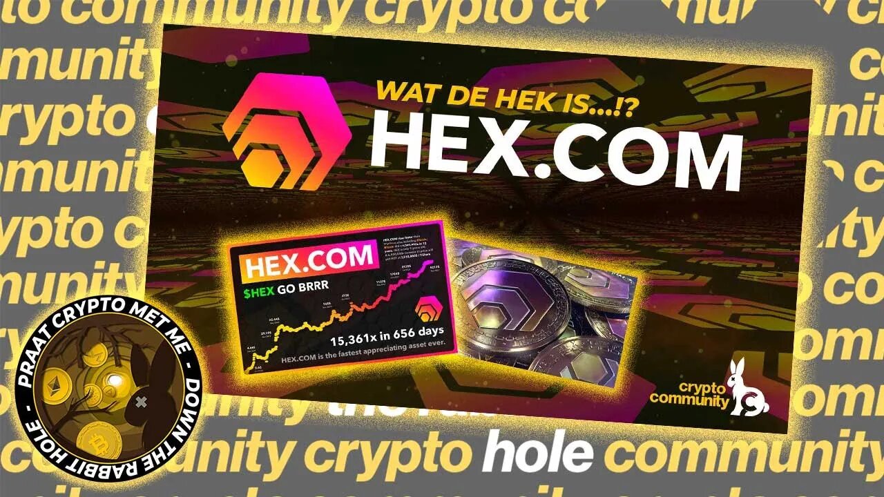 Sparen weer mogelijk met Crypto? HEX Staken 101 | Wat is HEX? | Wat kun je met HEX?