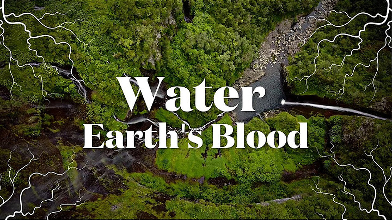 Water is the Earth's Blood - The Old and New Water Paradigms to Restore Our Planet's Health