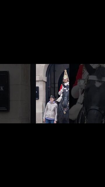 She moved the horse #horseguardsparade