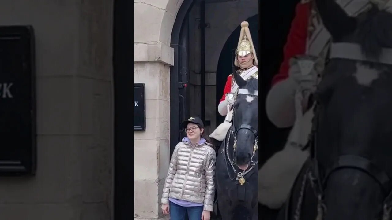 She moved the horse #horseguardsparade