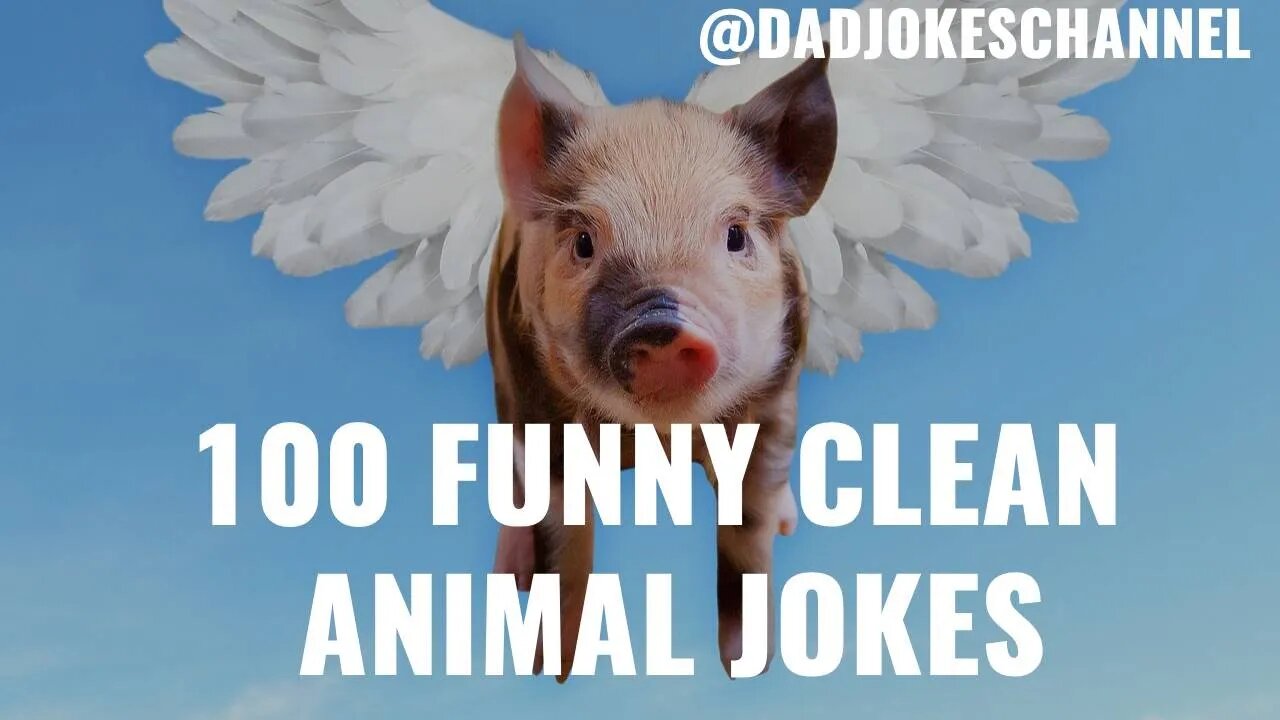 100 Funny CLEAN Animal JOKES - Cat Dog Pig Elephant Duck Rabbit