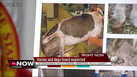 Veterinarian and her husband arrested for Felony Animal Cruelty in Polk County