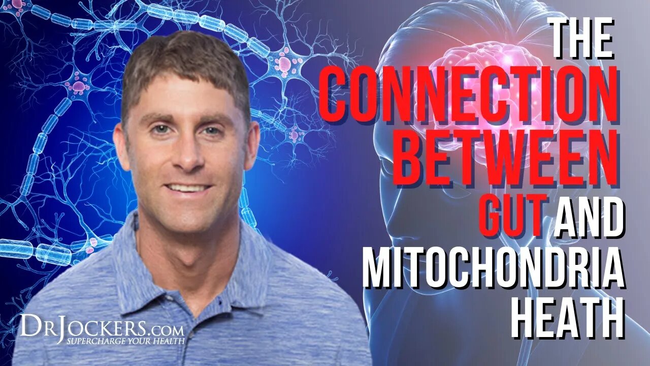 The Connection Between Gut and Mitochondria Heath