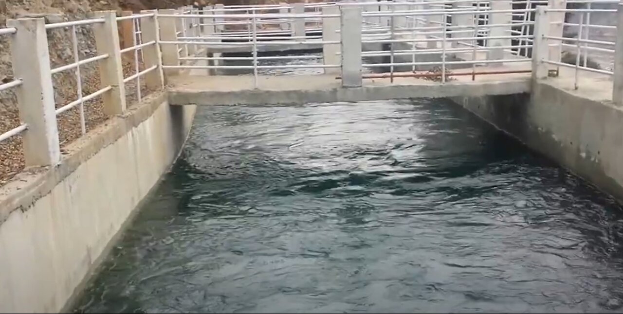 Hydro Power Plant (Run-of-the-River-Project)