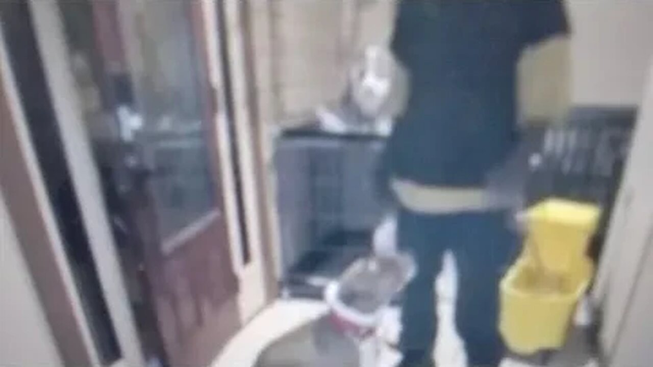 Is True Freeman of WAWG Kennels Giving Mop Water To His Dogs ?