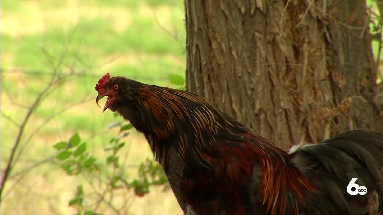 Researchers taking community-based approach to rural mental health